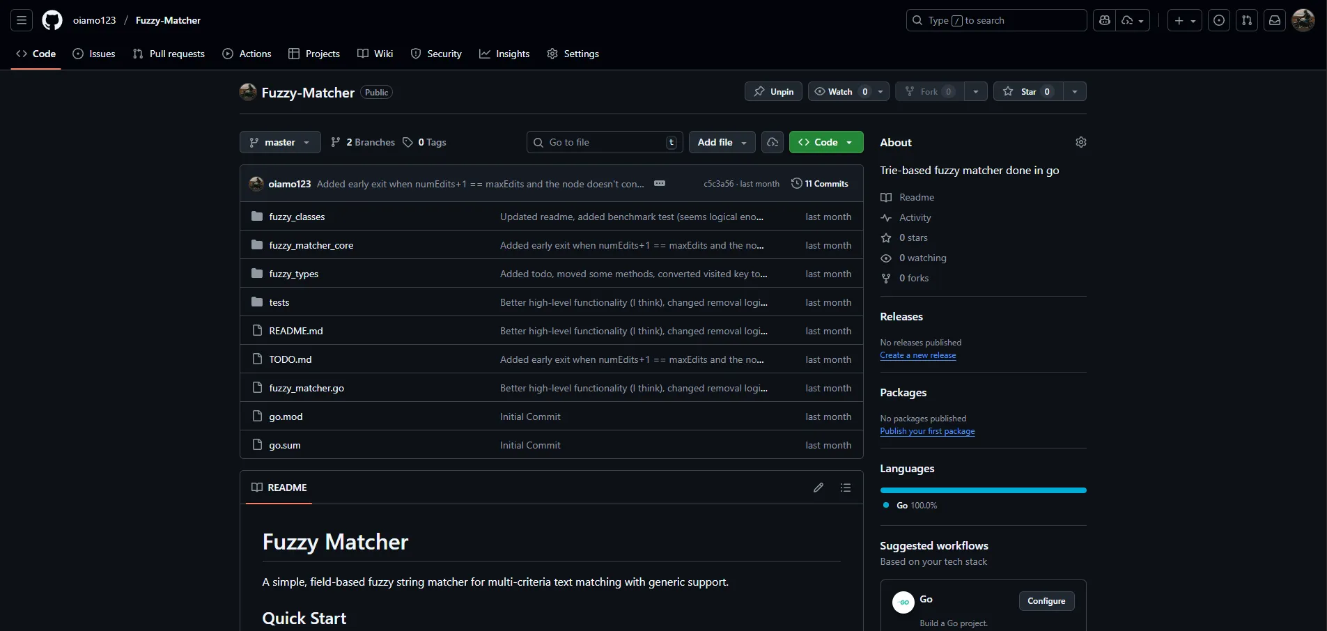 Screenshot of Trie-Based Fuzzy Matcher